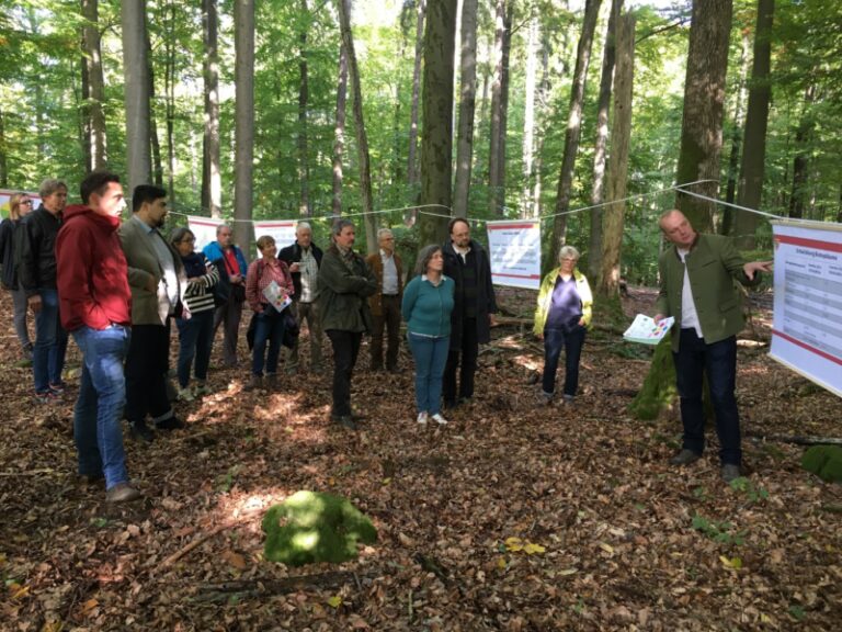 Zukunft des Waldes: Fachgespräch und Waldbegang in Lohr