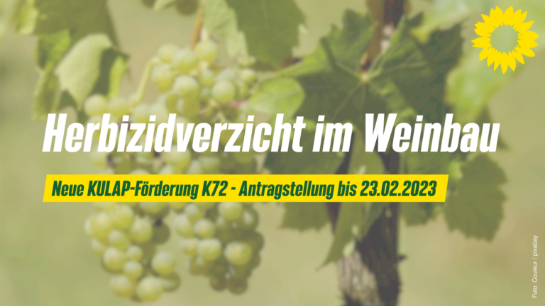 Neue KULAP-Förderung: Herbizidverzicht im Weinbau