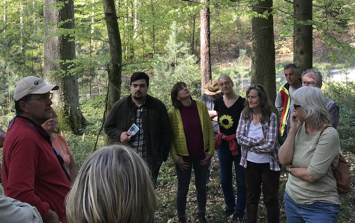 Waldführung und Diskussion mit grünem Bundestagsabgeordneten Niklas Wagener in Frammersbach