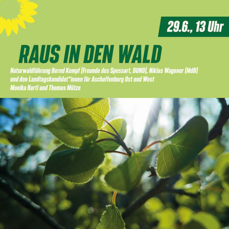 Naturwaldführung: Raus in den Wald, mit Niklas Wagener MdB