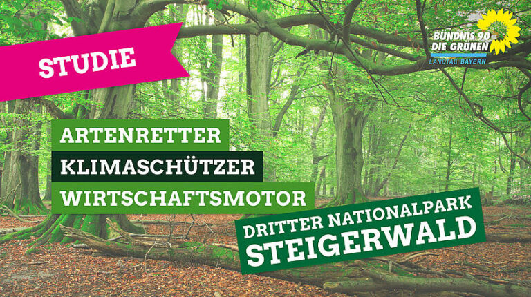 Aus unserem Regierungsprogramm 2023: „Wir Grüne wollen im Steigerwald bis spätestens Ende 2027 einen dritten Nationalpark in Bayern!“