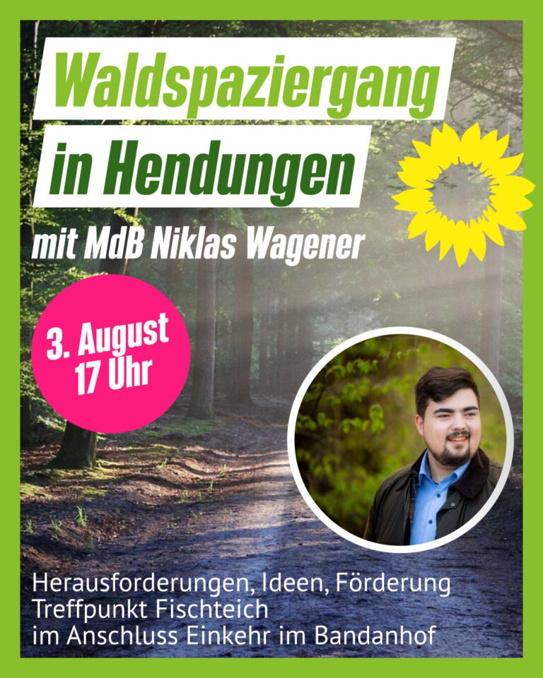 Waldspaziergang mit Niklas Wagener MdB in Hendungen