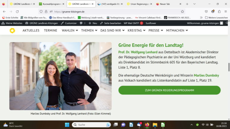 GRÜNE Kitzingen: Neue Website