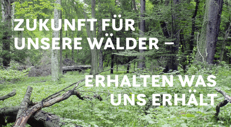 Fachkongress zum Wald im Bundestag (auch als Videokonferenz)- organisiert von Niklas Wagener MdB