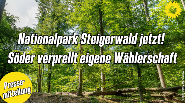 MdL Friedl und Knoblach: Nationalpark Steigerwald jetzt!
