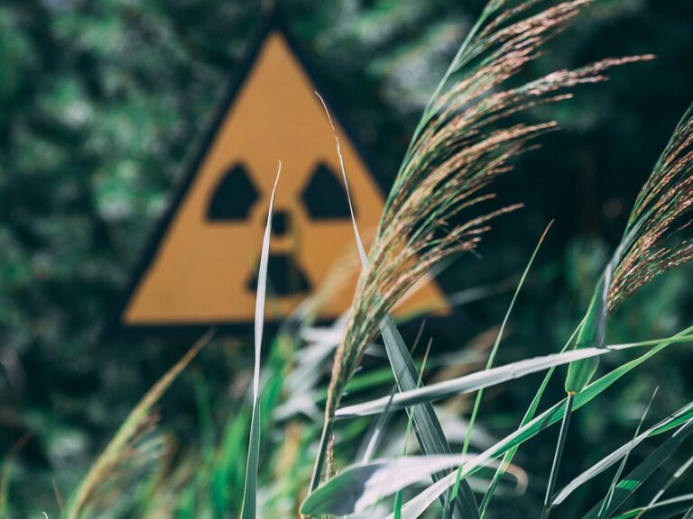 Grüne Main-Spessart erinnern an den GAU von Tschernobyl
