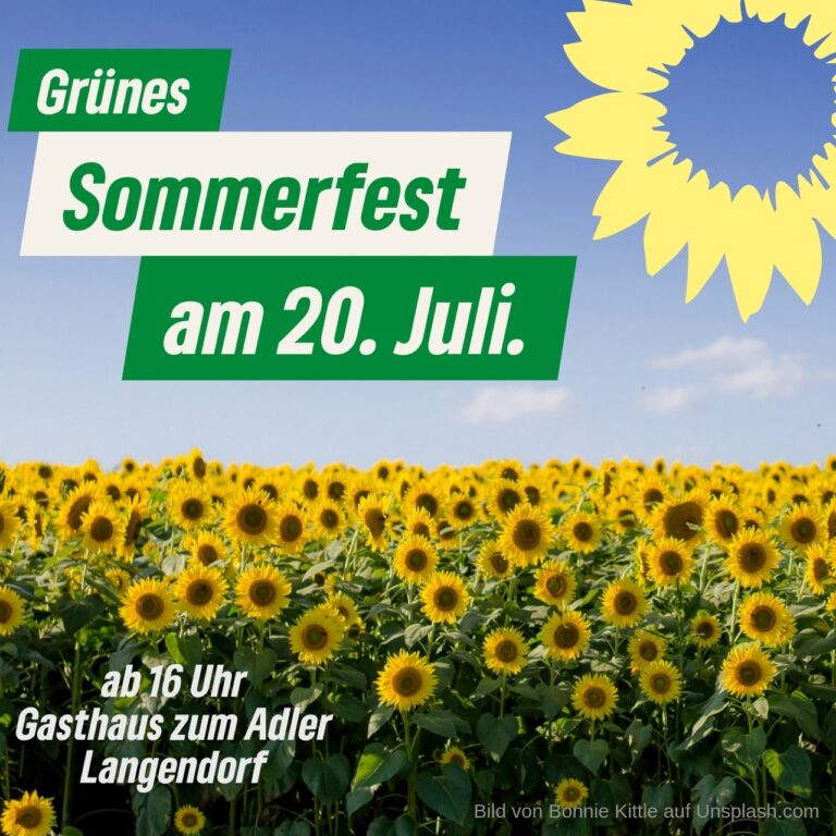 GRÜNE Bad Kissingen: Sommerfest