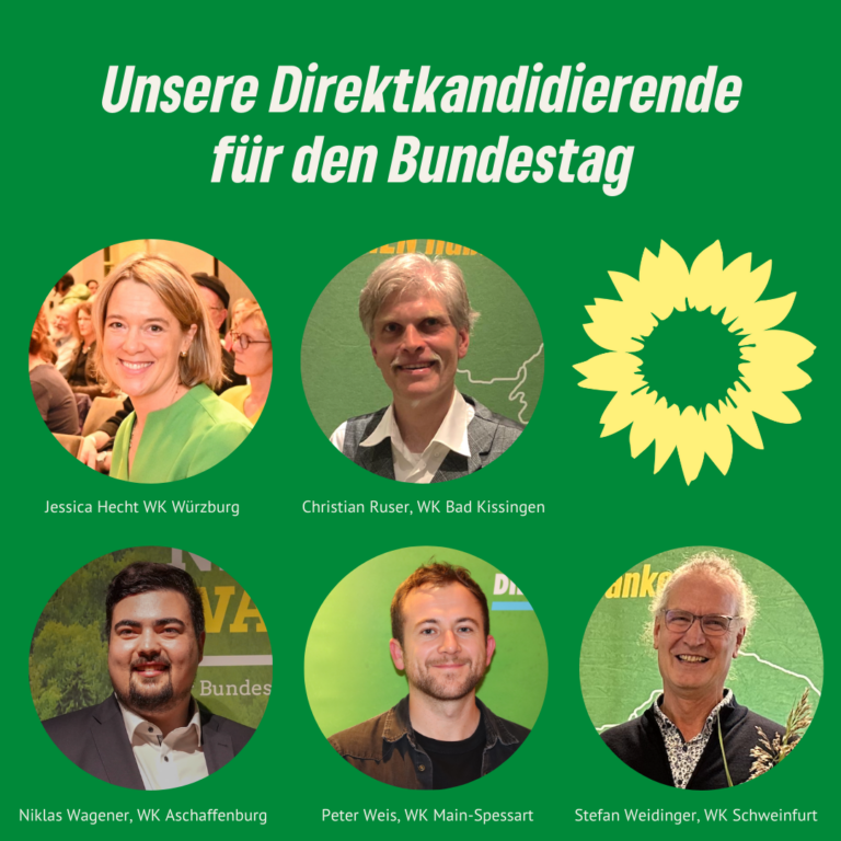 Das sind unsere Direktkandidierenden!