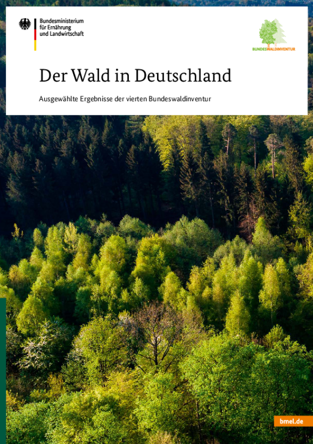 Bundeswaldinventur: Deutscher Wald durch Klimakrise erheblich geschädigt Niklas Wagener, MdB – Waldpolitischer Berichterstatter der Bundestagsfraktion Bündnis 90/Die Grünen