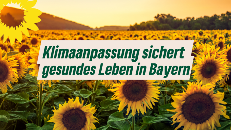 LDK in Würzburg: Antrag der LAG Ökologie zur Stärkung der Klimaanpassung für ein gesundes Leben in Bayern