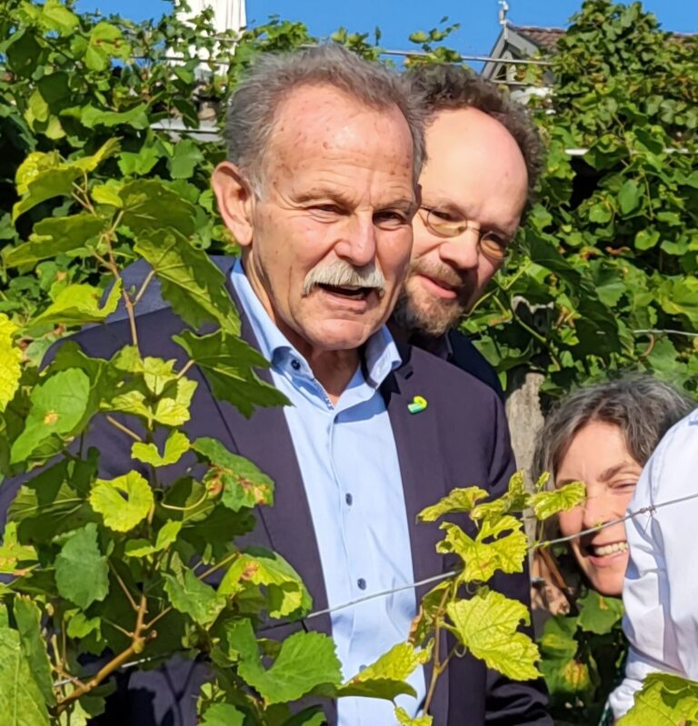 Friedl und Knoblach warnen vor Bedrohung durch Asiatische Hornisse in Unterfranken