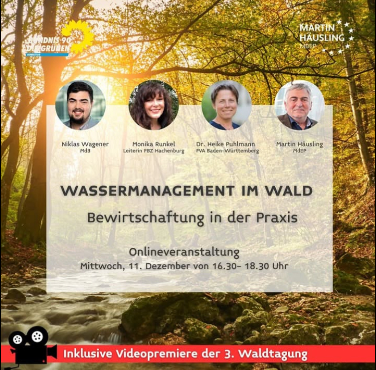 Wassermanagement im Wald – Bewirtschaftung in der Praxis