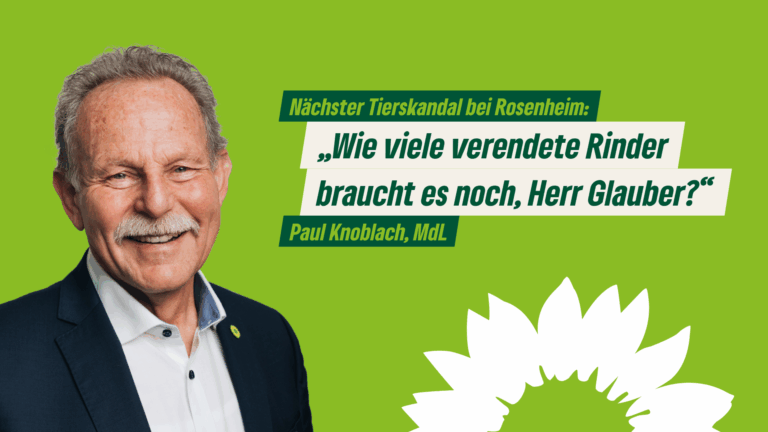 Paul Knoblach, MdL: „Wie viele verendete Rinder braucht es noch, Herr Glauber?“
