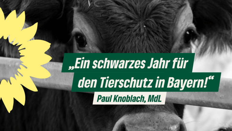 Tierschutz-Skandale: Grüne Fraktion fordert Staatsregierung zum Handeln auf