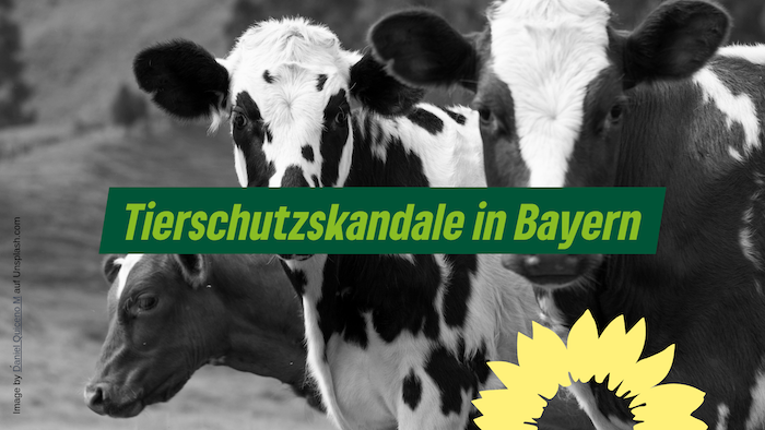 Tierschutzskandale in Bayern – Unsere Forderungen