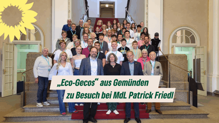 „Eco-Gecos“ aus Gemünden zu Besuch bei MdL Patrick Friedl