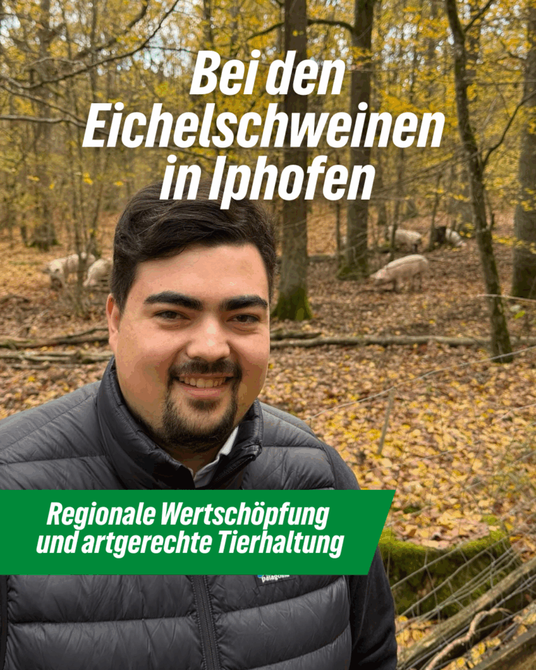 Niklas Wagener besuchte Eichelschweine-Projekt in Iphofen