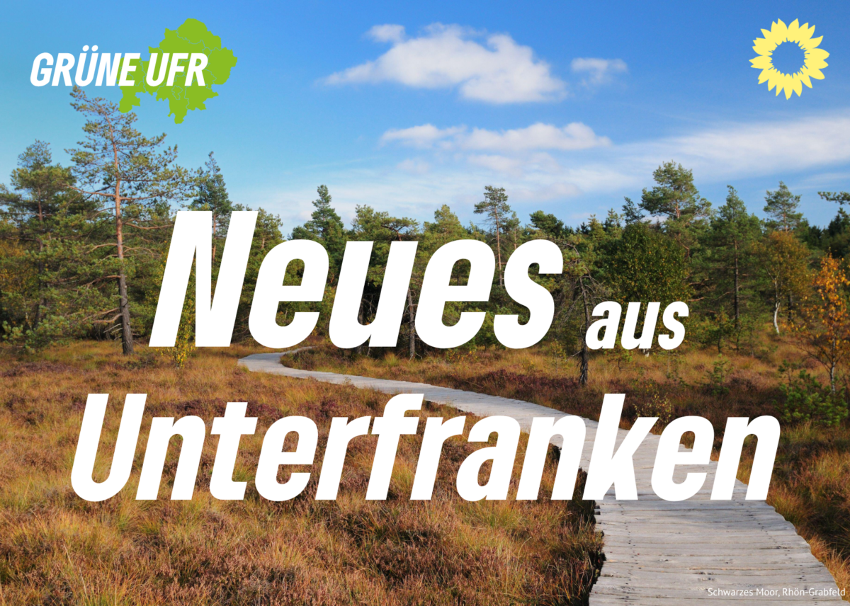 Kopie von Newsletter Bilder (1)
